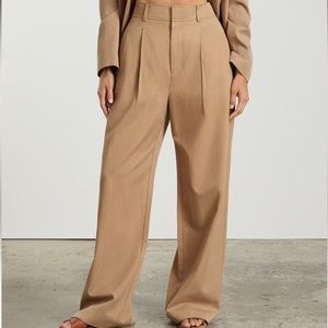 Everlane Way-High Drape Pant